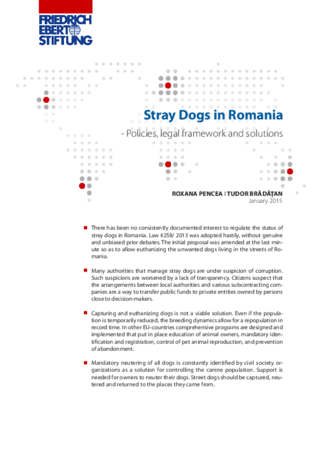 Stray dogs in Romania