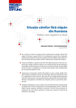 Situaţia câinilor fără stăpân din România