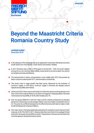 Beyond the Maastricht criteria