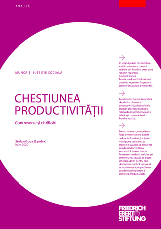 Chestiunea productivităţii