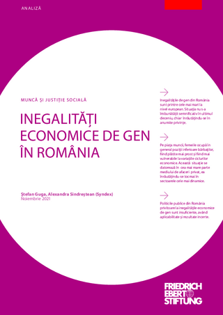 Inegalităţi economice de gen în România